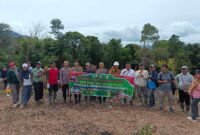 Masyarakat antusias menanam jagung dalam Program SADESAHE Desa 2025 (Munawar Khalik/SUARA UTAMA)