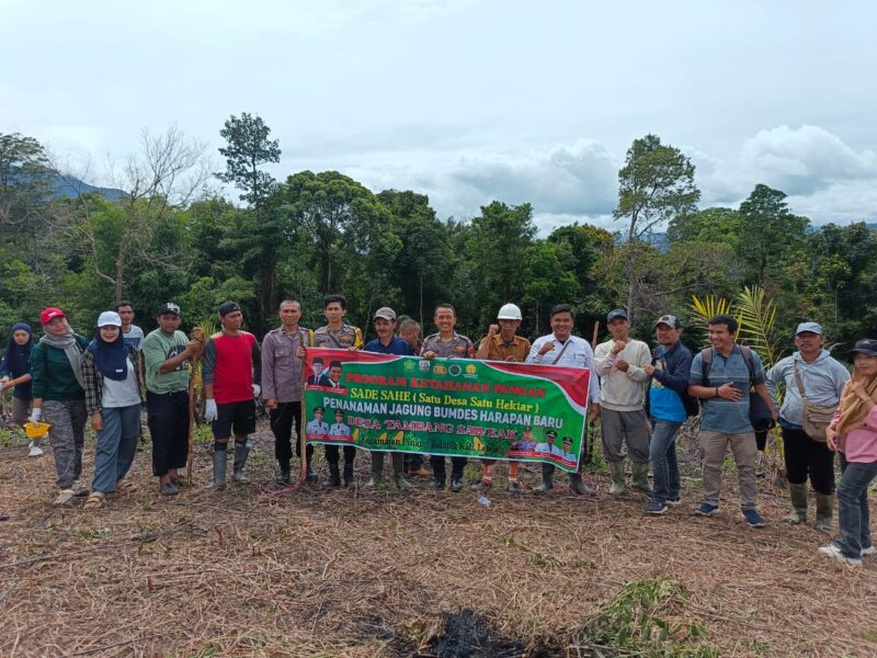 Masyarakat antusias menanam jagung dalam Program SADESAHE Desa 2025 (Munawar Khalik/SUARA UTAMA)