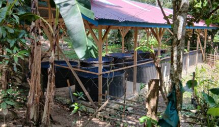 20251205 102859 Bumdes Desa Mudo Diduga Mangkrak, Kolam Lele Senilai Rp 85 Juta Tak Beroperasi Maksimal Suara Utama ID Mengabarkan Kebenaran | Website Resmi Suara Utama