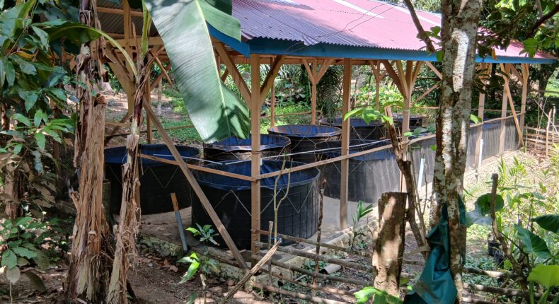 foto slider headline