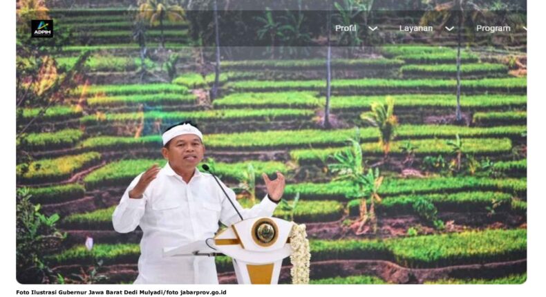 foto slider headline