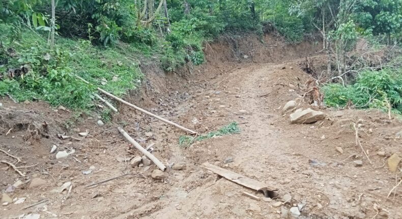 foto slider headline