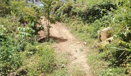 Screenshot 20251216 131355 Gallery Proyek Jalan Usaha Tani di Desa Rantau Bayur Jadi Sorotan, Warga Minta Audit Menyeluruh Suara Utama ID Mengabarkan Kebenaran | Website Resmi Suara Utama