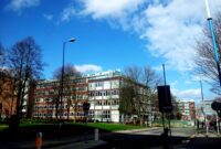 Ilustrasi kampus sedang mempersiapkan akreditasi agar memperoleh predikat unggul (LIAM O'NEILL, the Explorer Panda/Pexels.com)