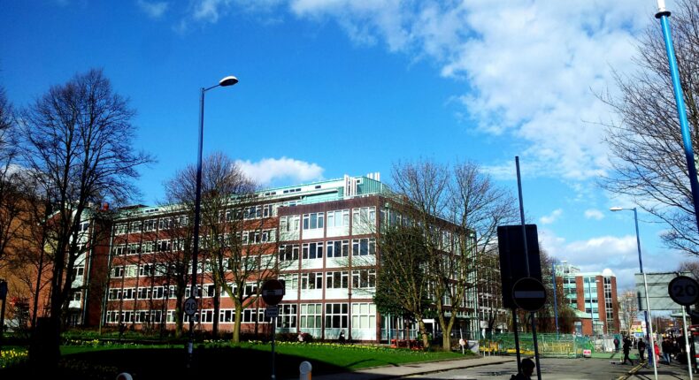 foto slider headline