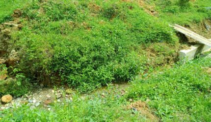 IMG 20260121 WA0014 Pekerjaan Drainase Ratusan Juta di Tabir Disorot, Diduga Tak Tuntas dan Tak Sesuai RAB Suara Utama ID Mengabarkan Kebenaran | Website Resmi Suara Utama