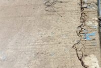 {"source_type":"vicut","data":{"client_key":"aw889s25wozf8s7e","source_type":"vicut","source_platform":"mobile_2","appVersion":"16.3.0","enterFrom":"new_image","os":"android","product":"vicut","editType":"image_edit","region":"ID","picture_id":"DSGM0P2A-ZQL3-CZT0-ILVL-CIKET91CCJ5B","pictureId":"DSGM0P2A-ZQL3-CZT0-ILVL-CIKET91CCJ5B","capability_name":"capcut_photo_editor"},"tiktok_developers_3p_anchor_params":"{"client_key":"aw889s25wozf8s7e","source_type":"vicut","source_platform":"mobile_2","appVersion":"16.3.0","enterFrom":"new_image","os":"android","product":"vicut","editType":"image_edit","region":"ID","picture_id":"DSGM0P2A-ZQL3-CZT0-ILVL-CIKET91CCJ5B","pictureId":"DSGM0P2A-ZQL3-CZT0-ILVL-CIKET91CCJ5B","capability_name":"capcut_photo_editor"}"}