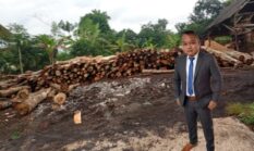 Melebar, Serkel Kayu Desa Klenang Kidul Selain Diduga Ilegal, Diduga Pula Menggunakan BBM Bersubsidi 