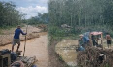 Desa Kapuk Tabir Ulu Darurat PETI, Ratusan Dompeng Diduga Rusak Lingkungan