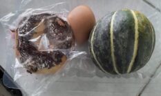 Viral di Media Sosial, Dapur SPPG Desa Wonorejo Terindikasi Dugaan Menyalahi Aturan