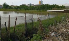 Oknum Warga Sukabumi Diduga Serobot Lahan Milik Dinkes Kabupaten Probolinggo Telah Puluhan Tahun