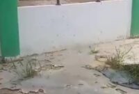 {"source_type":"vicut","data":{"client_key":"aw889s25wozf8s7e","source_type":"vicut","source_platform":"mobile_2","appVersion":"16.9.0","enterFrom":"new_image","os":"android","product":"vicut","editType":"image_edit","region":"ID","picture_id":"1EOJZP48-Y7DT-3C09-IGL7-BAO81NNLYRA8","pictureId":"1EOJZP48-Y7DT-3C09-IGL7-BAO81NNLYRA8","capability_name":"capcut_photo_editor"},"tiktok_developers_3p_anchor_params":"{"client_key":"aw889s25wozf8s7e","source_type":"vicut","source_platform":"mobile_2","appVersion":"16.9.0","enterFrom":"new_image","os":"android","product":"vicut","editType":"image_edit","region":"ID","picture_id":"1EOJZP48-Y7DT-3C09-IGL7-BAO81NNLYRA8","pictureId":"1EOJZP48-Y7DT-3C09-IGL7-BAO81NNLYRA8","capability_name":"capcut_photo_editor"}"}