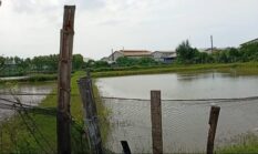 Aktivis Geram dan Akan Adukan ke APH, Diduga Warga Kota Probolinggo Serobot Lahan Dinkes Kabupaten Probolinggo 