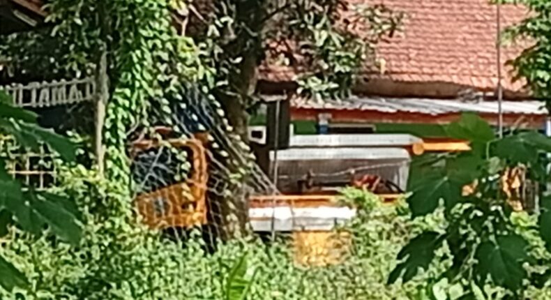 foto slider headline