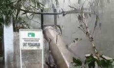 Sumur Bor/Pompa Air Terkesan Buat Pajangan, PDAM Unit Pedagangan Terkesan Abaikan Krisis Air Bersih