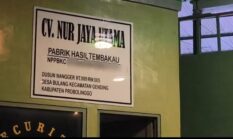 Bea Cukai Kab. Probolinggo Memilih Diam Saat di Konfirmasi Media Perihal Izin NPPBKC, PBG dan Penemuan Rokok Tanpa Pita Cukai 