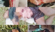 Kematian Anggota Polisi Picu Penembakan, 5 Warga Dogiyai Tewas