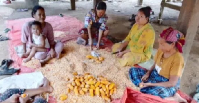 foto slider headline