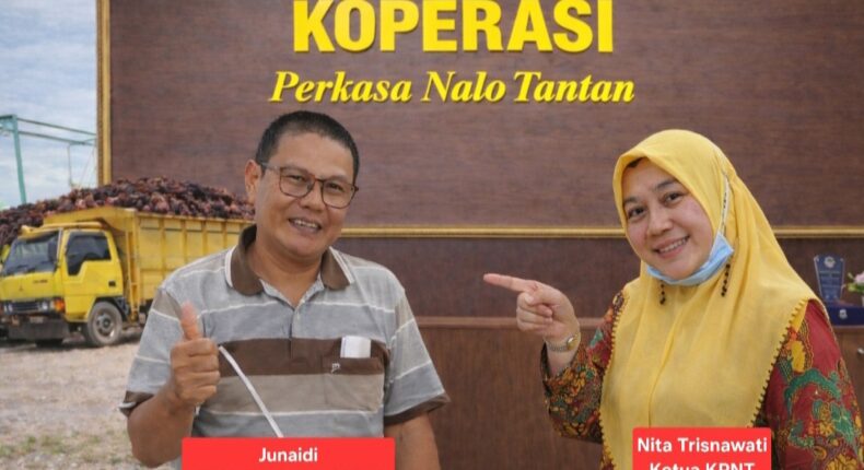 foto slider headline