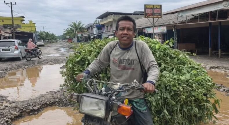 foto slider headline