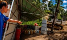 Diduga Gudang Solar Skala Besar Milik Budi Beroperasi di Desa Birun, APH Diminta Turun Tangan
