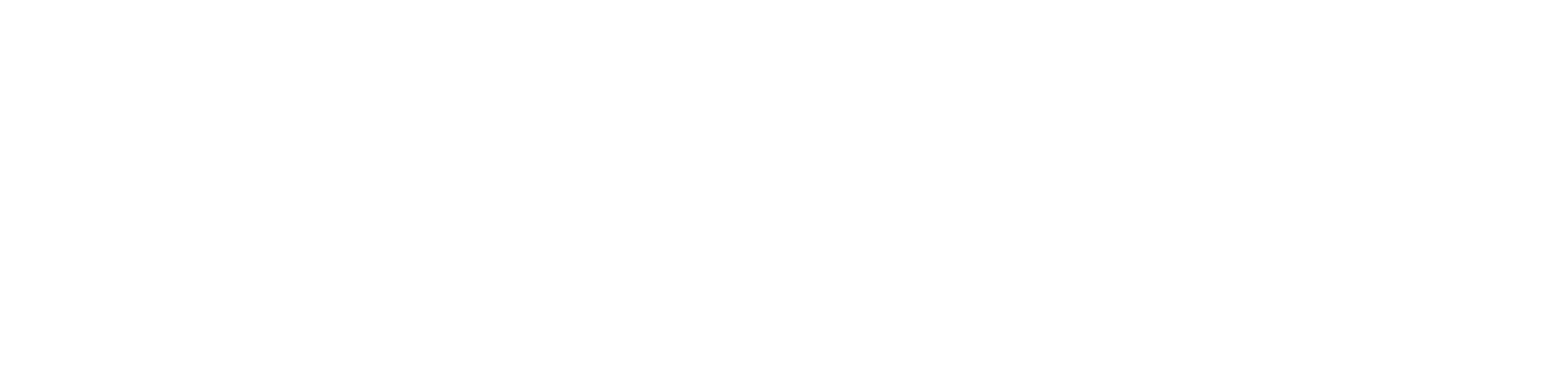 logo-footer