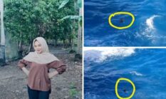 Wisatawan Tewas Terjatuh Saat Berswafoto di Tebing Appalarang Bulukumba, Keselamatan Pengunjung Jadi Sorotan