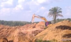 PETI Kian Merajalela di Bukit Bungkul, Dua Ekskavator Diduga Milik Izal Beroperasi Bebas, Warga Desak Aparat Bertindak Tegas