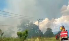 Kebakaran Hutan Meluas, Pemadam Kekurangan Personel.