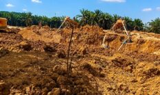 PETI Diduga Milik Jayak Kian Merajalela di Tanjung Benuang, Warga Tagih Ketegasan APH