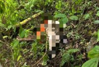 FOTO; Dua Pendaki Gunung Piramid Bondowoso Ditemukan Meninggal Dunia, Persatuan Kelana Alam Indonesia Imbau Pendaki Utamakan Keselamatan (Andre Hariyanto/SUARA UTAMA)