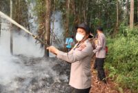 Foto : Kapolres Barito Selatan AKBP Jecson R. Hutapea dan Personel Polres dan Tim sedang berusaha memadamkan api Karhutla diwilayah Kecamatan Dusun Utara, Kabupaten Barito Selatan, Kalimantan Tengah, Rabu (19/8/2026). (Wartawan Suara Utama/ Ahmad Arbani)