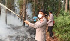 Karhutla 17,5 Hektare di Barsel Meluas, Polres Buru Pelaku Pembakaran