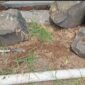 Oplus_131072