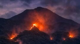 FOTO: Dokumentasi Internal Pengumuman Penutupan Sementara Pendakian Gunung Arjuno - Welirang oleh Tahura Raden Soerjo (Andre Hariyanto/SUARA UTAMA)