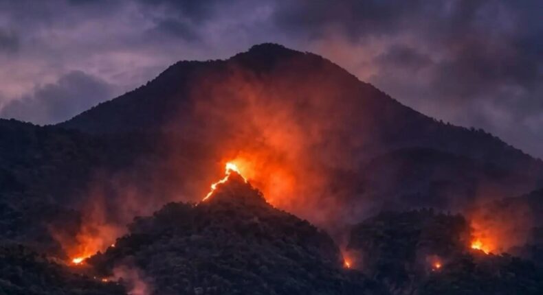 foto slider headline