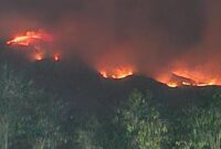 FOTO: Penampakan kebakaran di Gunung Sumbing, Kabupaten Wonosono, Jawa Tengah pada Senin malam 19 Oktober 2026 (Dok BPBD Wonosobo/SUARA UTAMA)