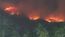 FOTO: Penampakan kebakaran di Gunung Sumbing, Kabupaten Wonosono, Jawa Tengah pada Senin malam 19 Oktober 2026 (Dok BPBD Wonosobo/SUARA UTAMA)