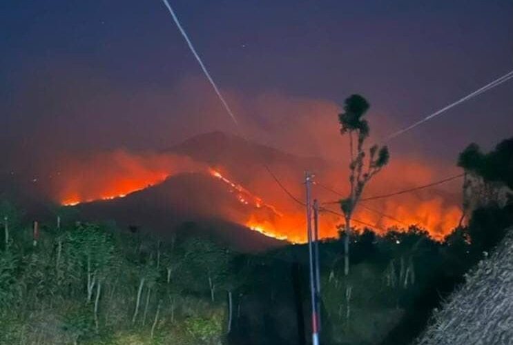 Kebakaran Gunung Arjuno – Welirang, Founder Persatuan Kelana Alam Indonesia Ajak Masyarakat Berdoa dan Turun Hujan