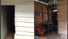 Oplus_131072