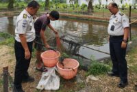Lapas Sarolangun Panen Ikan Lele, Dorong Ketahanan Pangan dan Kemandirian Warga Binaan