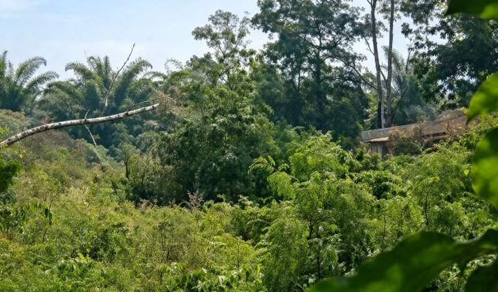 Diduga Milik Sukro, Aktivitas PETI di Mentawak Dikeluhkan Warga, Polres Merangin Diminta Bertindak